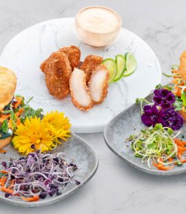 SUSHIFREUNDE - Sushi Special Japan Burger