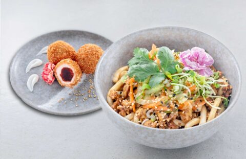 Sushifreunde Sushispecial - Udon-Nudeln